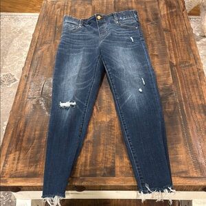 Liverpool Dark Blue Skinny Jeans